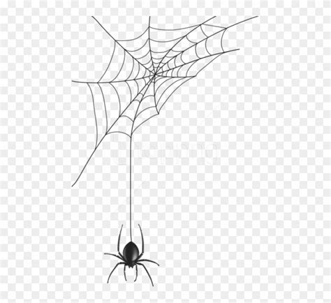 Transparent Spiderman Web Background Macan Png