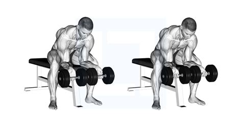 Dumbbell Finger Curls Guide Benefits And Form