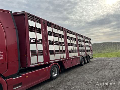 Pezzaioli Sba Livestock Semi Trailer For Sale Croatia Hra Ina Mn