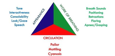 Hint How Is The Pat Used To Assess A Childs Status — Connected Care