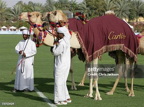 Cartier International Dubaï Polo Challenge Photos Et Images De