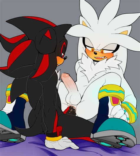 Post 3692433 Shadow The Hedgehog Silver The Hedgehog Sonic Team Animated Oodi