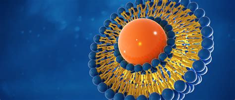 Innovative Drug Delivery Technique Uses Liposomes - Research & Development World