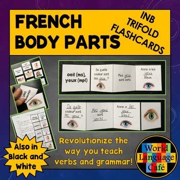 French Body Parts Flashcards, Interactive Notebook Trifold Flashcards