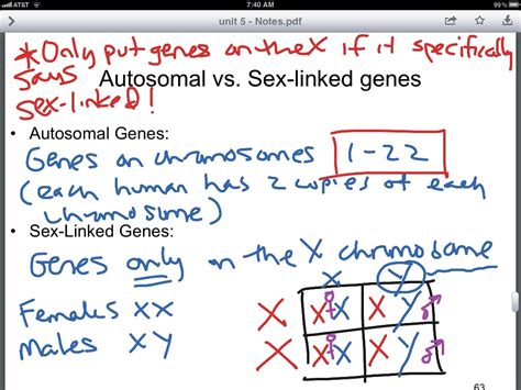 Genetics 11a Autosomes Vs Sex Chromosomes Science Showme