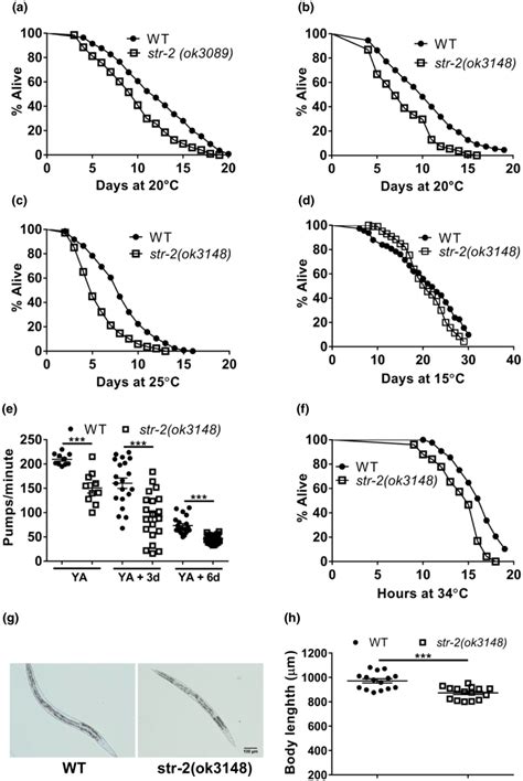 Str Regulates Lifespan And Health Span Of Caenorhabditis Elegans In A