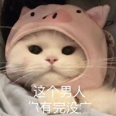 可爱搞笑表情包 I 我有一个大胆的想法 熊猫头 生命 什么