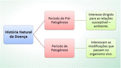 Fases Da Historia Natural Da Doença