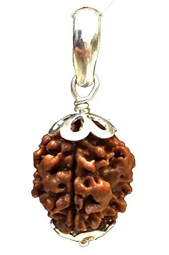 Saubhagya Global 3 Three Mukhi Rudraksha In Silver Pendent Lab