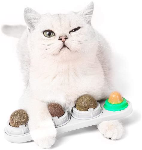 onebarleycorn Katzenminze Balls Spielzeug für Katze Katzenminze Ball