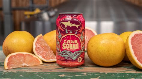 Your Offici Ale Weather Report Dogfish Head Tracks Citrus Squall