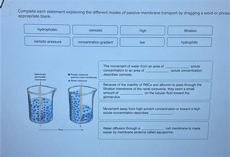 Solved Complete Each Statement Explaining The Different Chegg