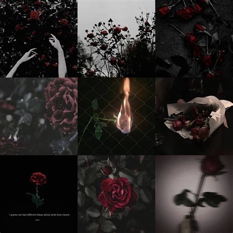 dark rose aesthetic if you want a mood board dm me tags ignore · · #moodboard #aesthetic # ...