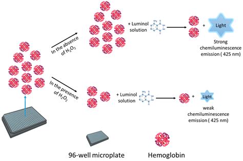 Chemosensors Free Full Text One Step Chemiluminescent Assay For