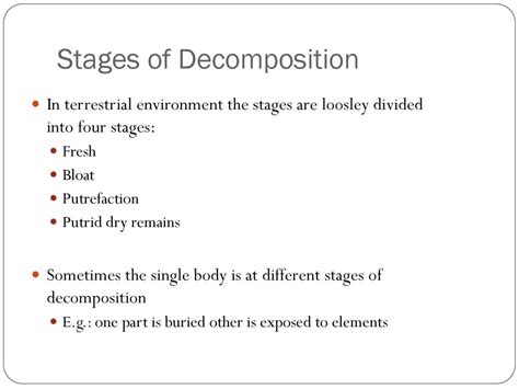 Time Of Death Chapter Ppt Download