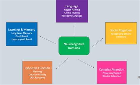 Exam Dementia Flashcards Quizlet