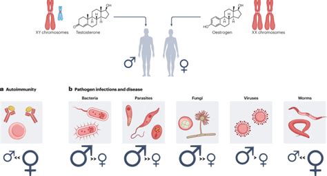 The Connexion Between Sex And Immune Responses Nature Reviews Immunology