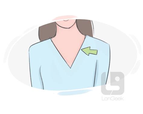 Definition & Meaning of "V-neck" | LanGeek