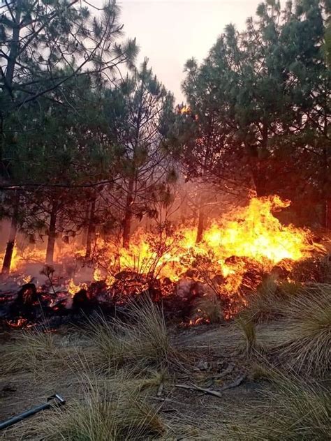 Se Reporta Fuerte Incendio Forestal En La Malinche Grupo Milenio