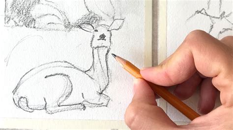 Animal Gesture Drawings