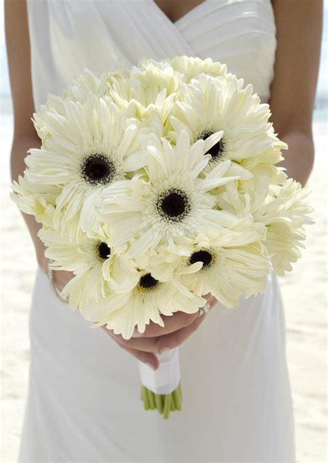 Pure Paradise Gerber Daisy Option For Bridal Bouquet Flower Bouquet