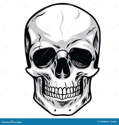 Skull 01 Vector Illustration | CartoonDealer.com #65630018