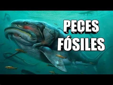 El Origen De Los Peces Cordados Youtube