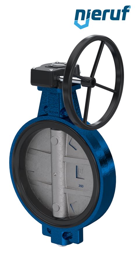 Butterfly Valve Dn Pn Pn Ak Worm Gear