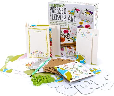 4m 4565 Pressed Flower Art Kit Multi Toptoy