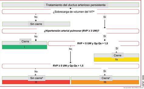 Guía Esc 2020 Para El Tratamiento De Las Cardiopatías Congénitas Del