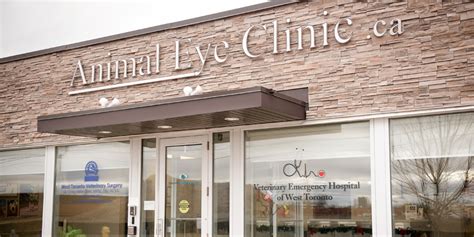 Toronto Animal Eye Clinic Location | Directions | Toronto, ON