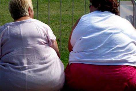 Idade Renda E Sedentarismo S O Principais Fatores Para Obesidade