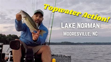 Topwater Action Finally Kayak Bass Fishing Lake Norman McCrary