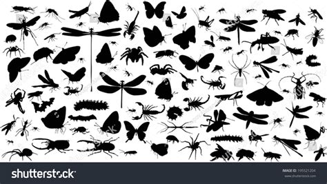 Insects Silhouettes Vector Images Stock Photos Vectors