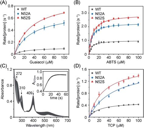 Steady State Rates Of Oxidation As A Function Of Guaiacol A Abts B