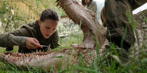 Annihilation's Ending, Explained