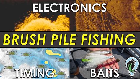 Complete Guide To Brush Pile Fishing Sonar Images Areas Baits