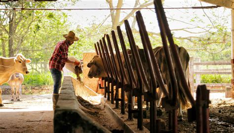 TRABAJADOR DE RANCHO PART TIME PARA CUIDADO Y MANTENIMIENTO GENERAL