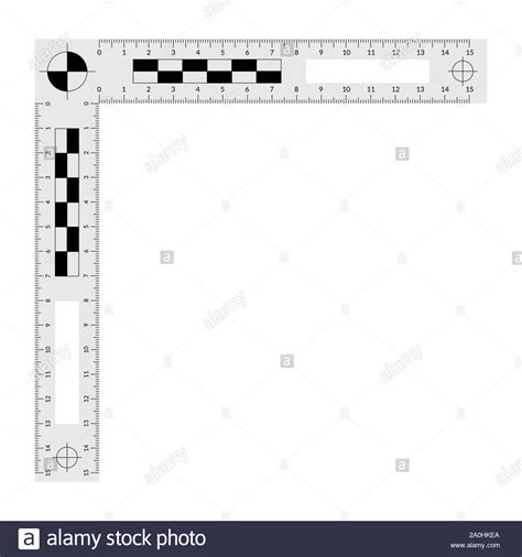 Actual Size Forensic Ruler Printable Printable Word Searches