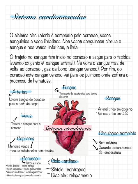 Questões Sobre O Sistema Cardiovascular - 9