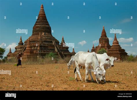 The temples of Bagan Stock Photo - Alamy