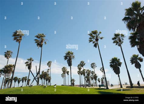 Venice Beach Skatepark Graffiti Grube urban Display Kunst Ocean Front ...