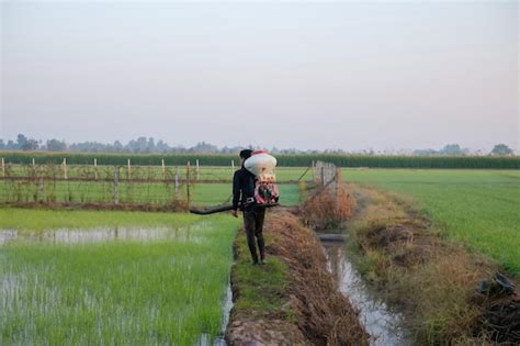 Premium Photo A Farmer From Asia Is Using A Knapsack Mist Duster To