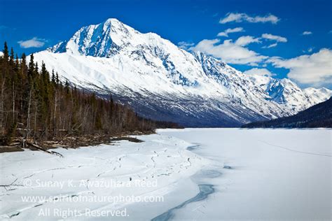 Sunny in Wilderness: Chugach Mountains, Alaska