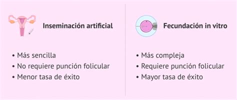 Qué Es La Fecundación In Vitro O Fiv Explicación Clara Y