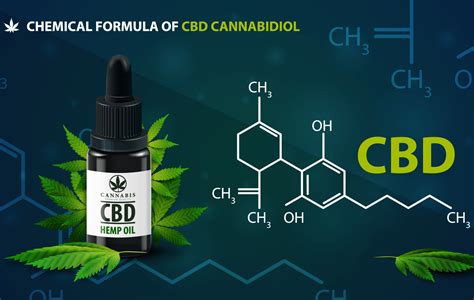 What Is Cbd Benefits Uses And Facts Growing In Health Florida