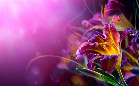 HD Abstract Floral 1080p Wallpapers Wallpapers Wallpapes - High Resolution 4K Wallpaper