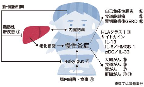 肥満関連消化器疾患治療の現状と課題｜学会レポート｜医療ニュース｜medical Tribune