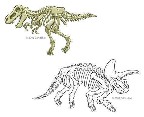 Dinosaur Skeleton Diagram