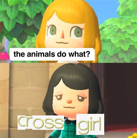 50+ Funny Animal Crossing Memes For Your Enjoyment